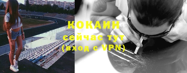 индика Арсеньев