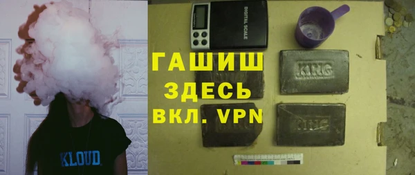 индика Арсеньев
