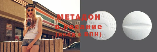 индика Арсеньев