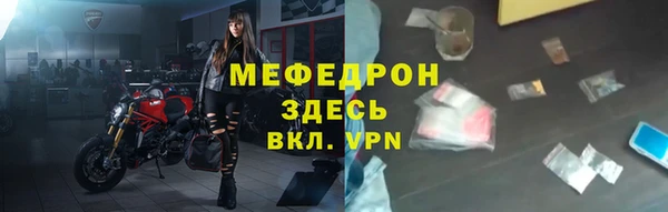 индика Арсеньев