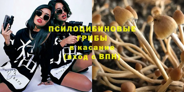 индика Арсеньев