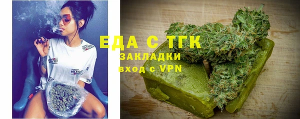 индика Арсеньев